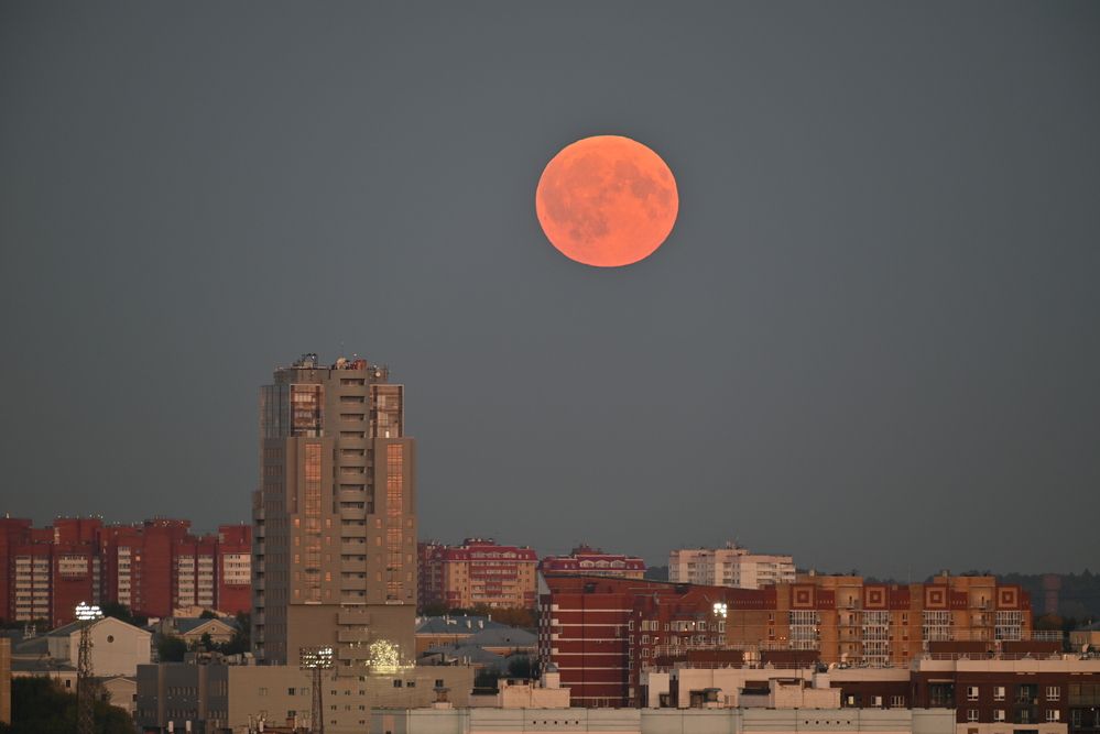 Photograph by Сергей Зубов