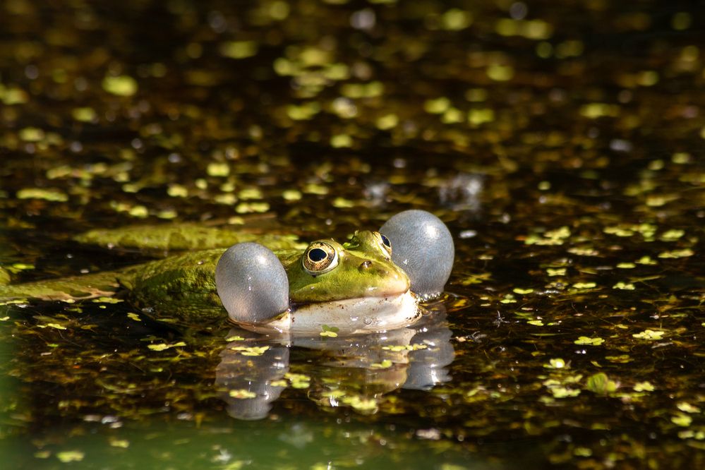 Photograph by Светлана Верзилина