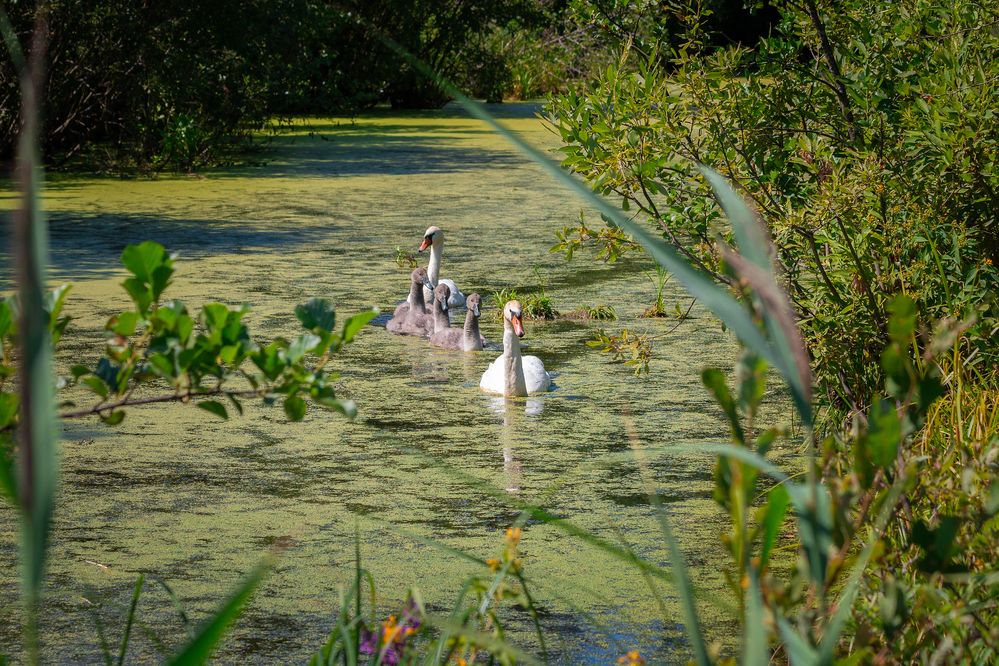 Photograph by Светлана Верзилина