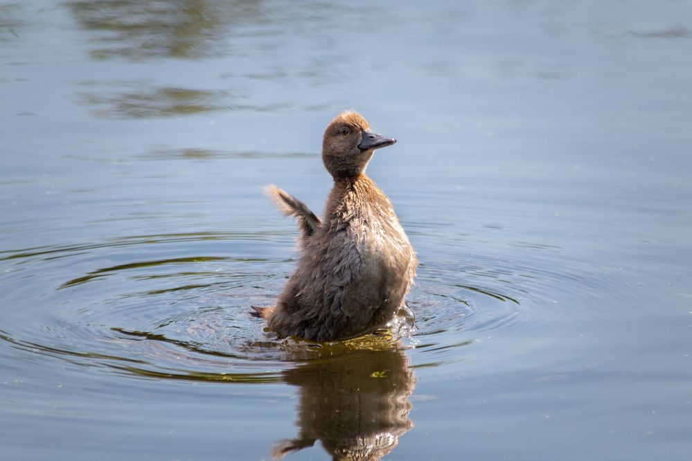 Photograph by Светлана Верзилина