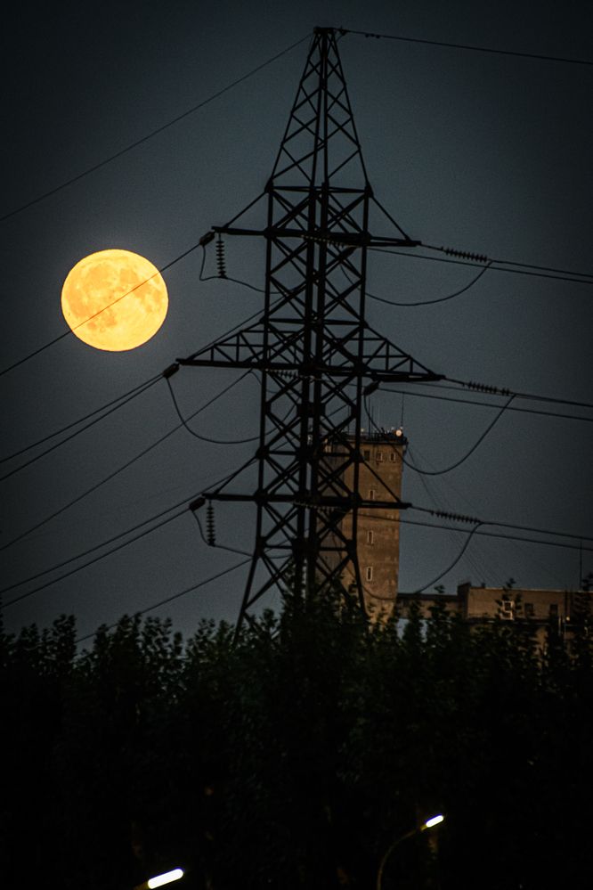 Photograph by Елена Берсенёва