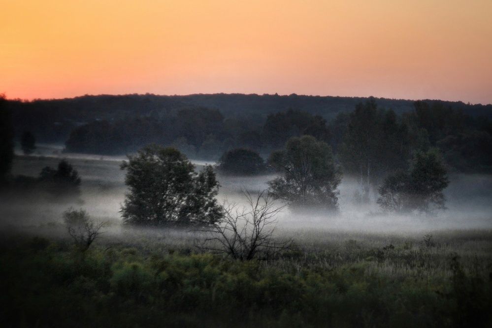 Photograph by Инна Карасева