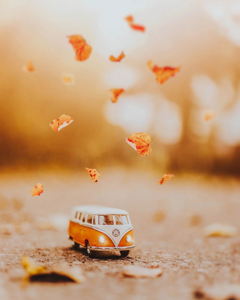 Фотография автора Татьяна Рогожа