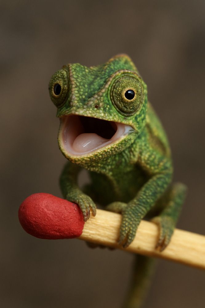 Photograph by Анна Стрелковская