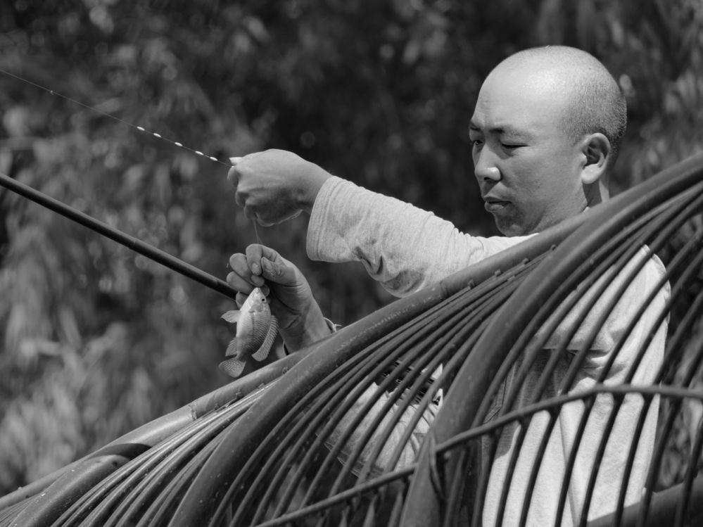 Photograph by Lev Tsenter