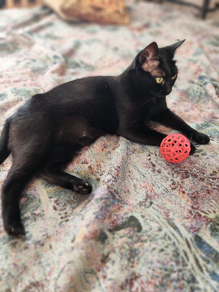 Photograph by Татьяна Пьянзина