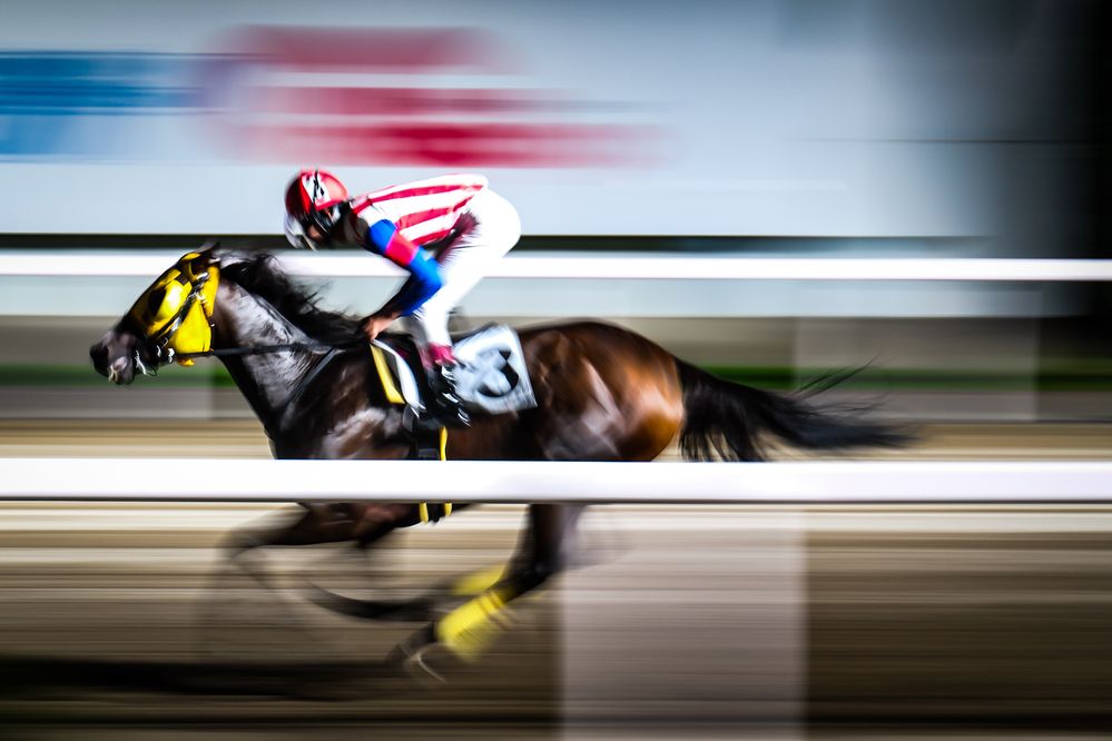 Photograph by mak takano