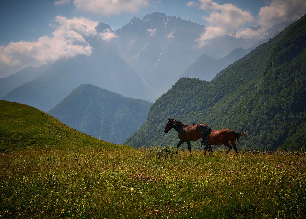 Дигорское ущелье.