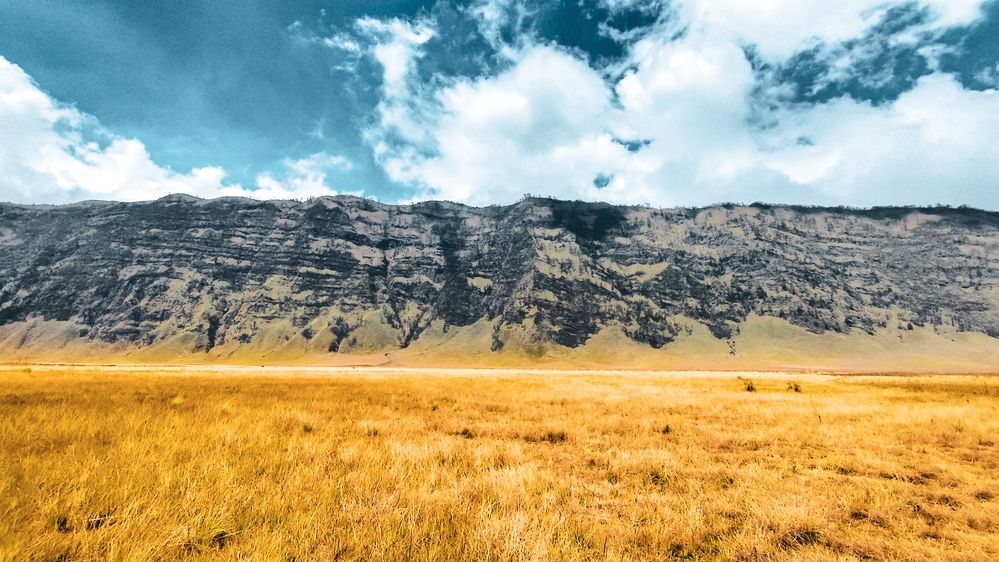 savana teletubbies in indonesia