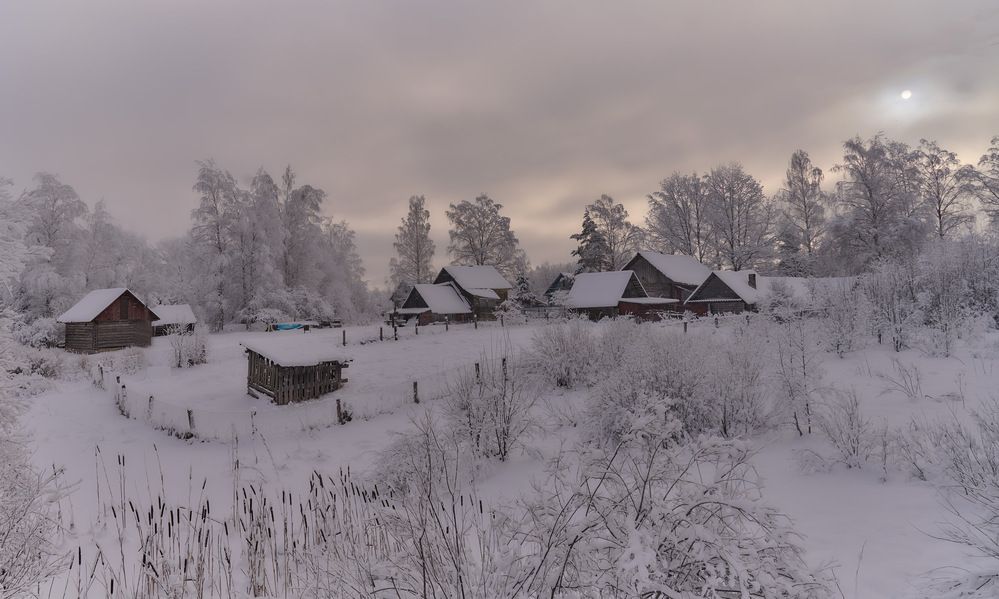 Деревенька в лесу.
