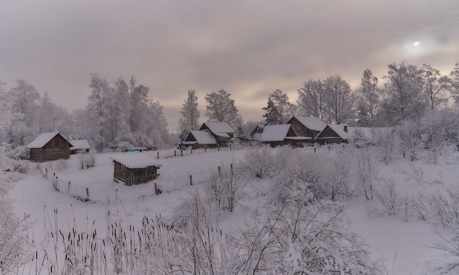 Деревенька в лесу.