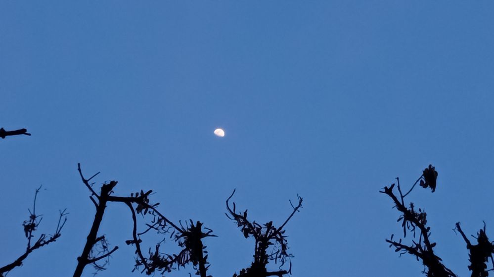 moon on blue sky