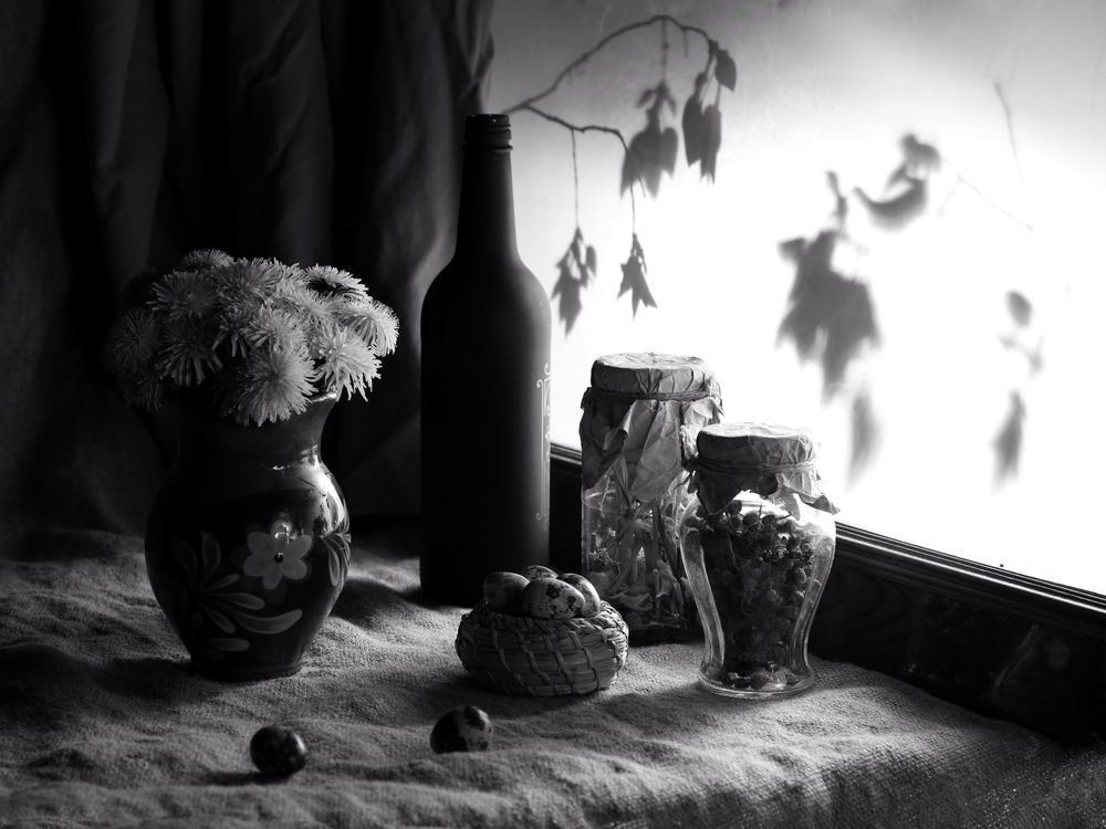 Фотография автора Софья