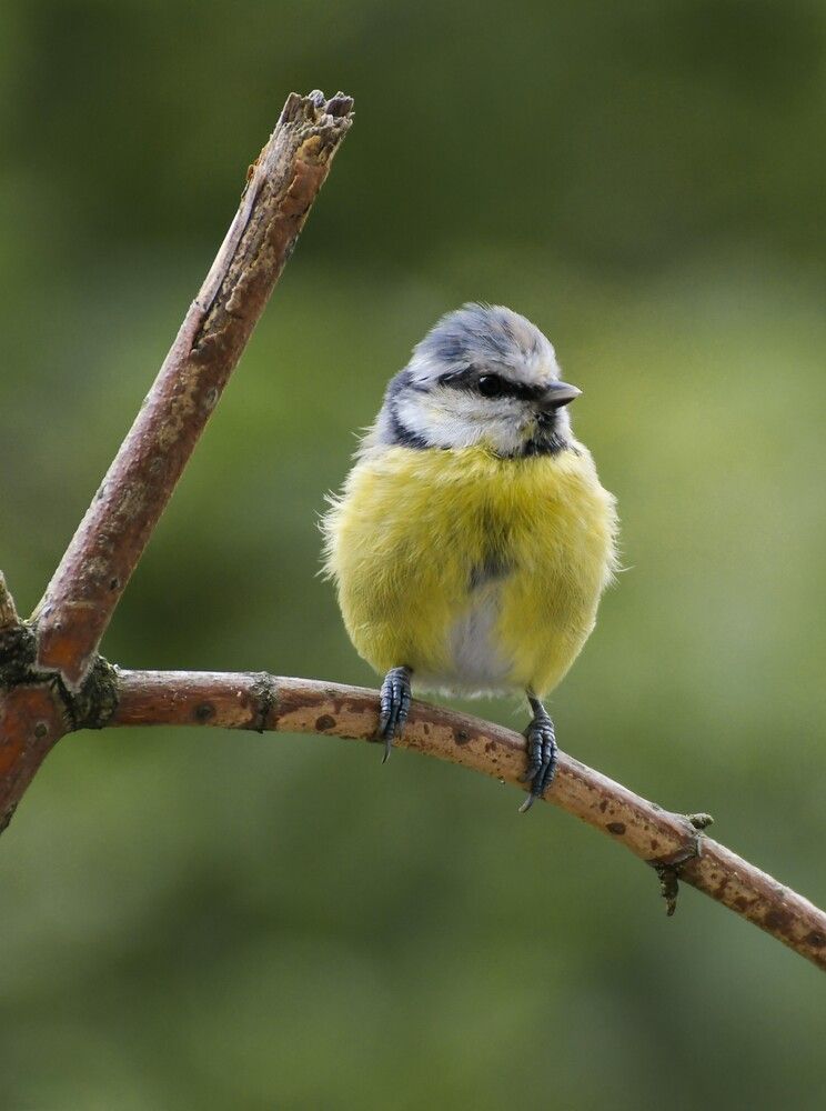 Photograph by Наталья Екимова