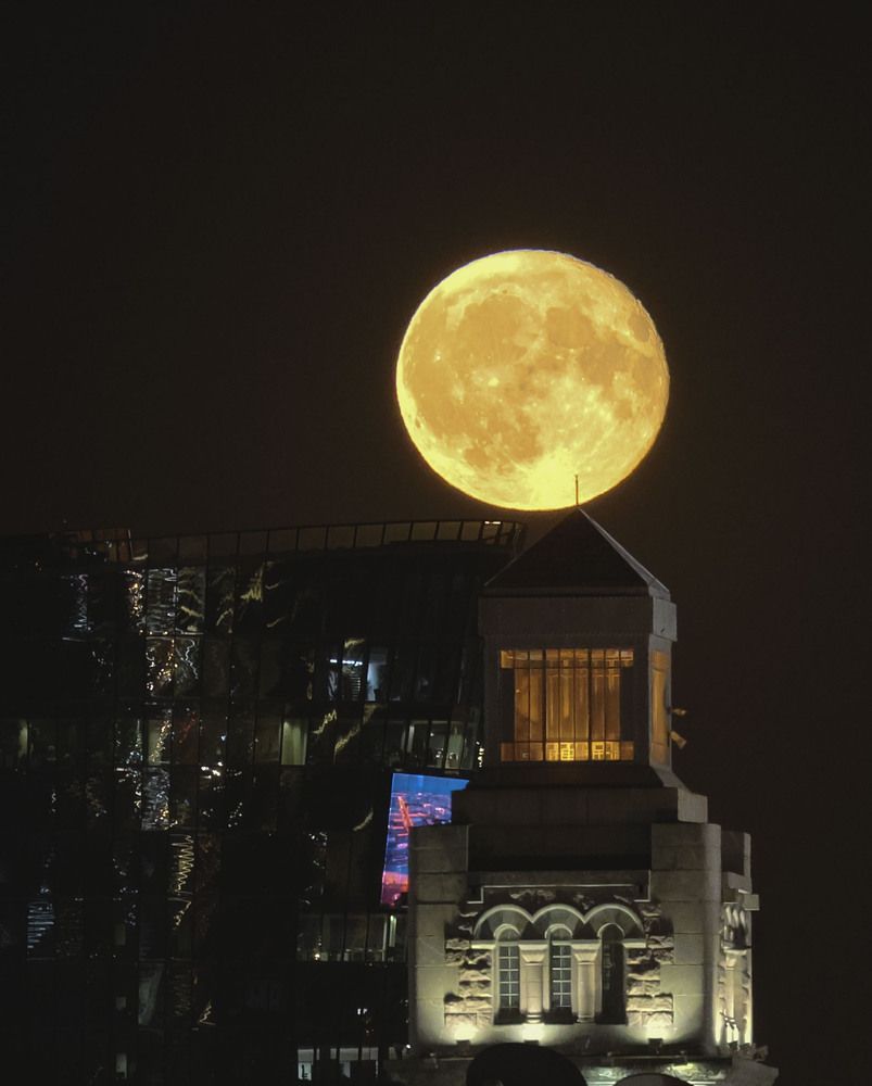 Photograph by Анастасия Алтабаева