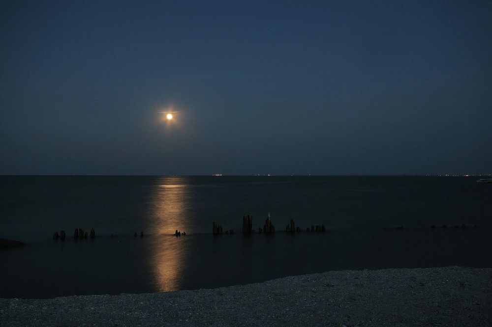 Фотография автора Александр Челмодеев