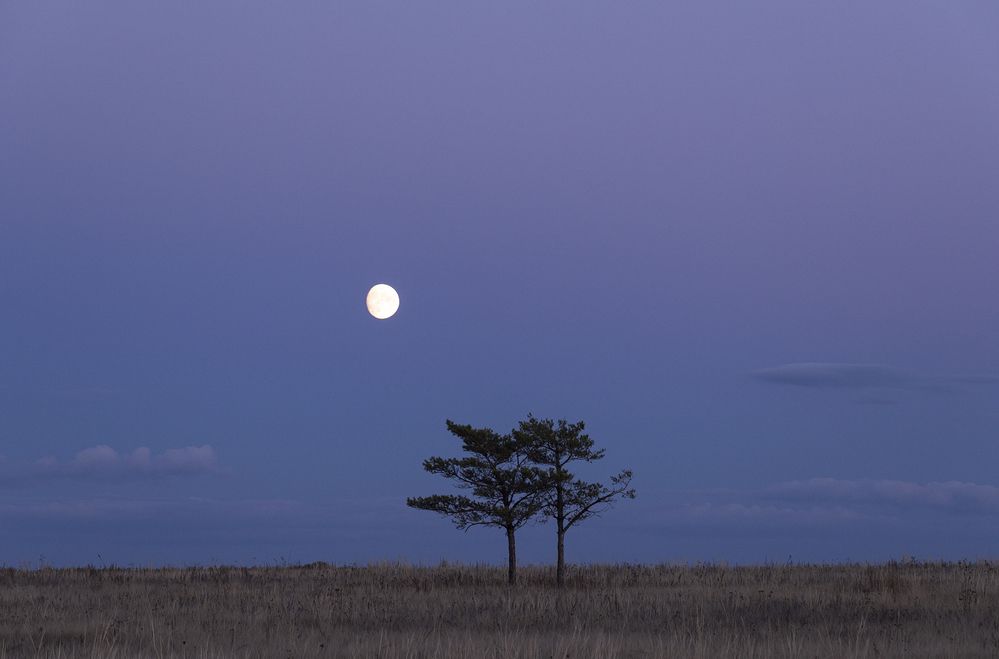 Photograph by Татьяна Бирюкова