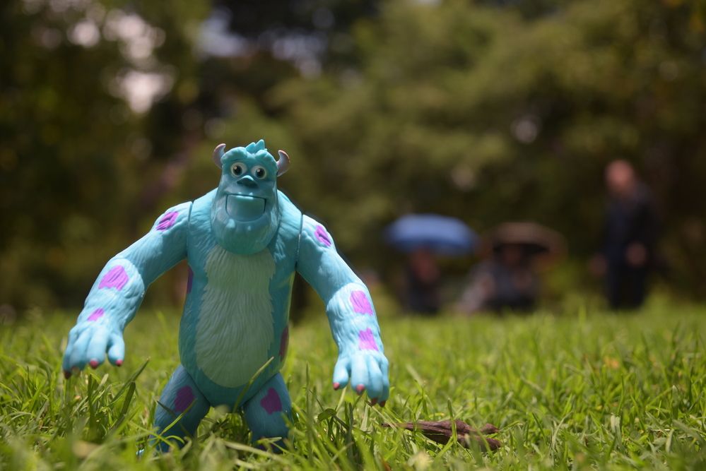 Фотография автора Camilo Martinez