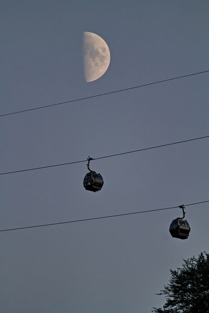 Фотография автора Александр Челмодеев