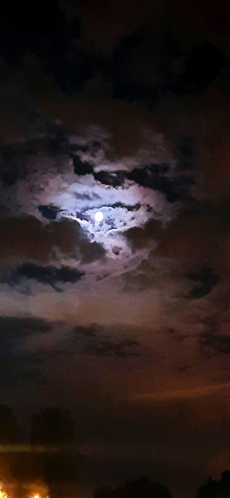 Крылатая луна или луна с крыльями