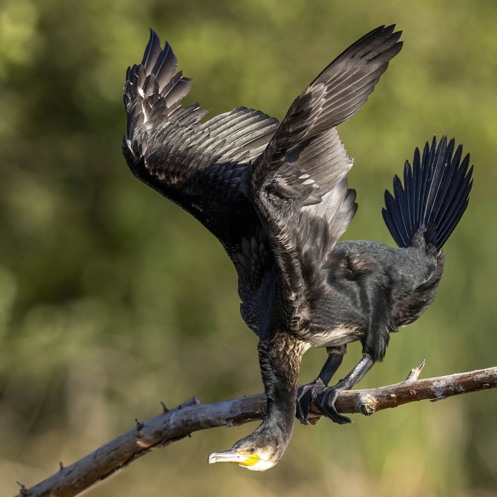 Photograph by Hubert Mielnik