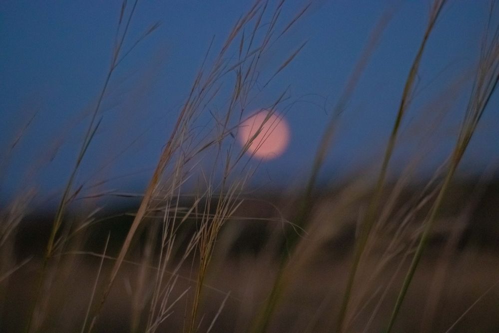 Фотография автора Потоцкий Вячеслав