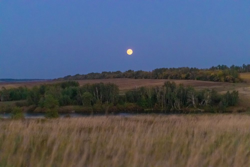 Фотография автора Потоцкий Вячеслав