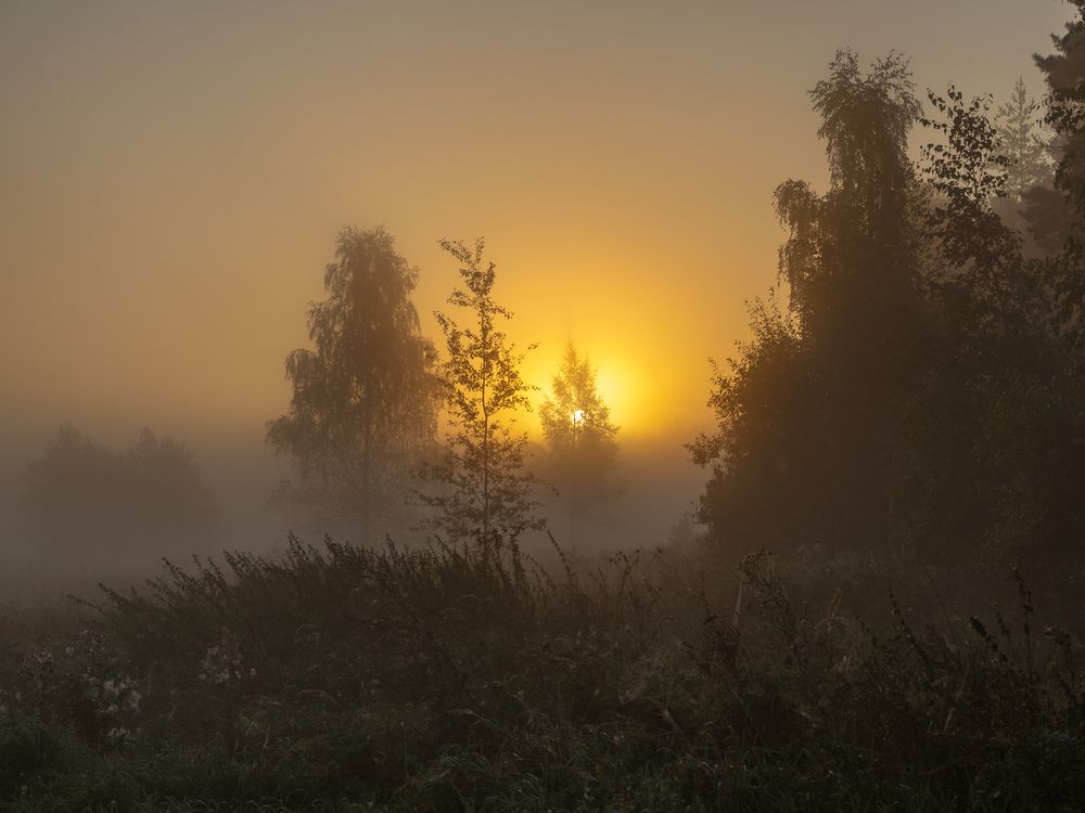 Фотография автора Игорь Криулин