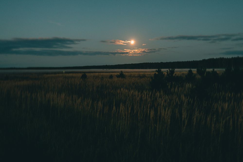 Photograph by Елена Буканина