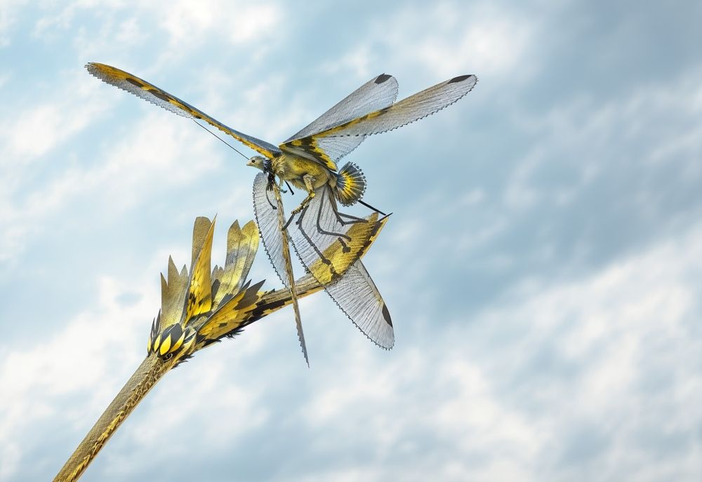 Фотография автора Александр Челмодеев