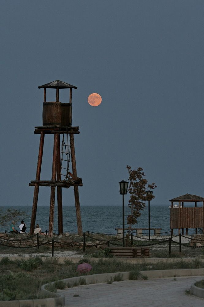Фотография автора Александр Челмодеев