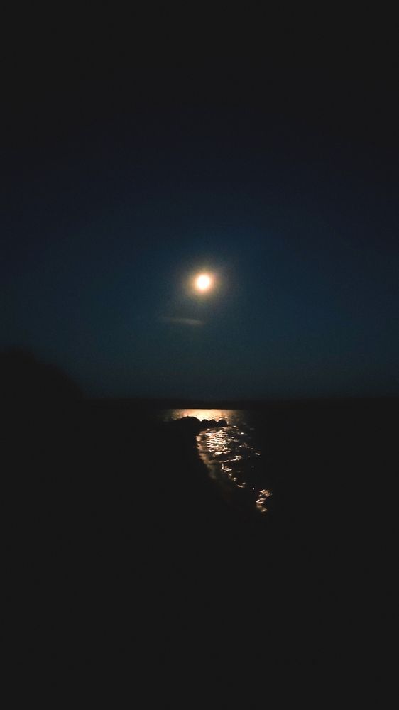 Photograph by Ирина Строкова