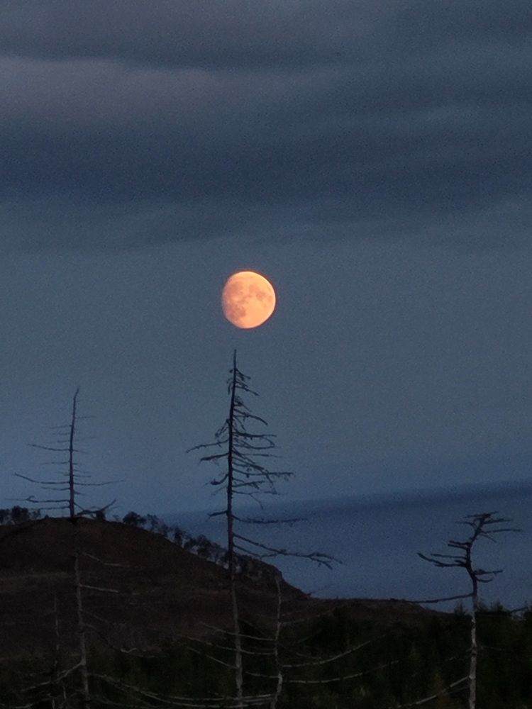 Фотография автора Казакова Людмила Ивановна