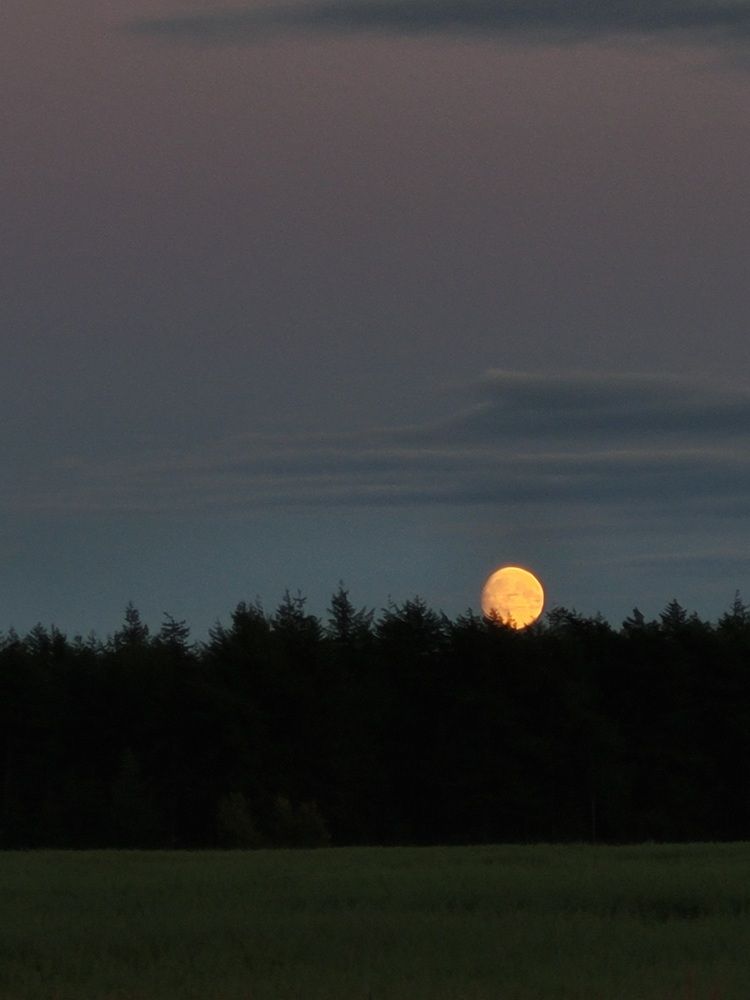 Фотография автора Казакова Людмила Ивановна