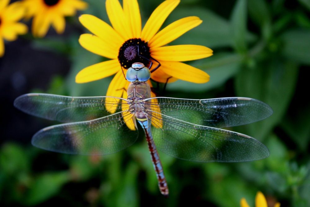 Photograph by Юлия Чурина