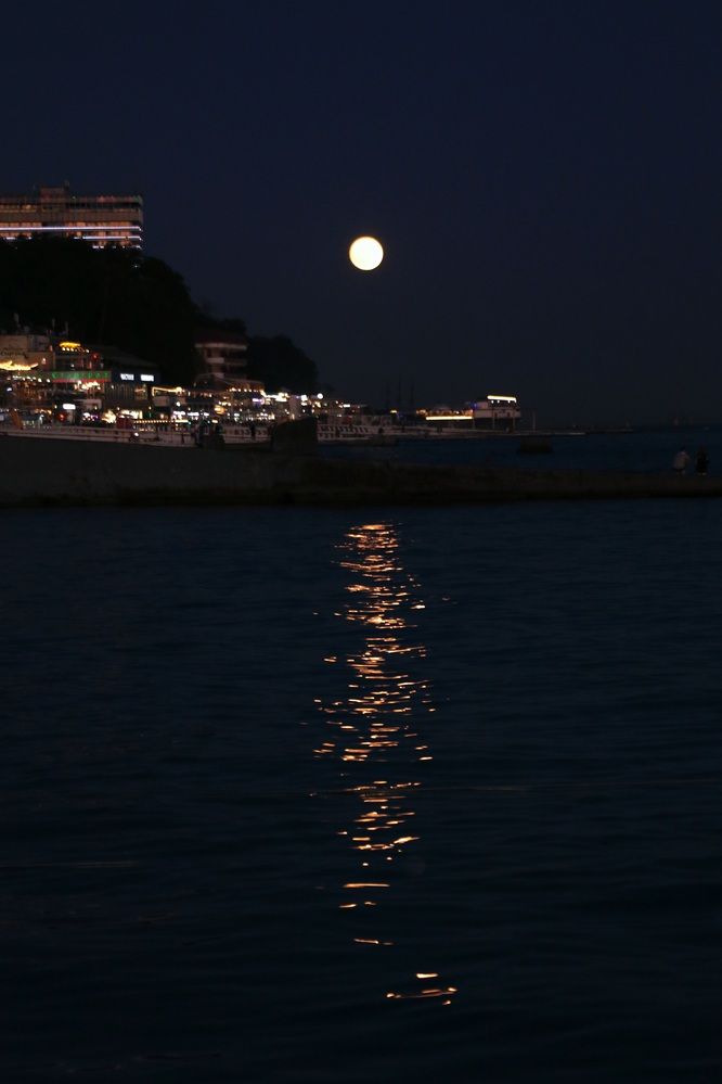 Photograph by Анастасия Свиридова