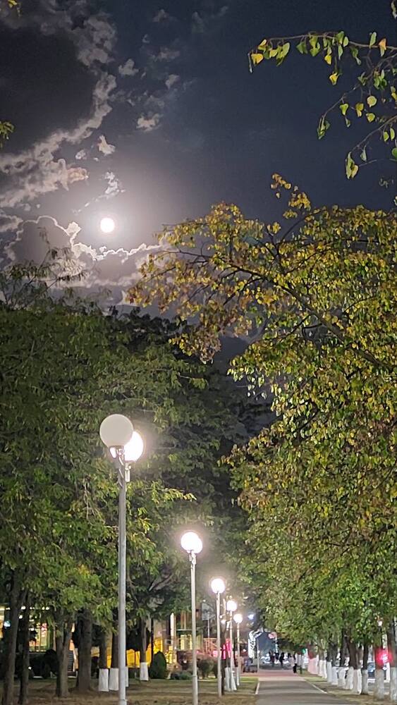 Photograph by Svitlana Usatenko