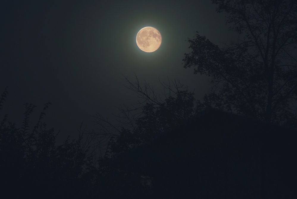 Фотография автора Сергей Вдовин