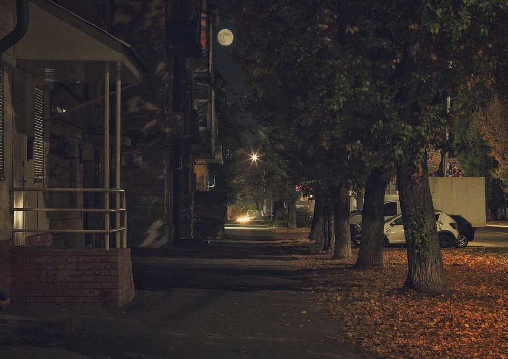 Фотография автора Сергей Вдовин