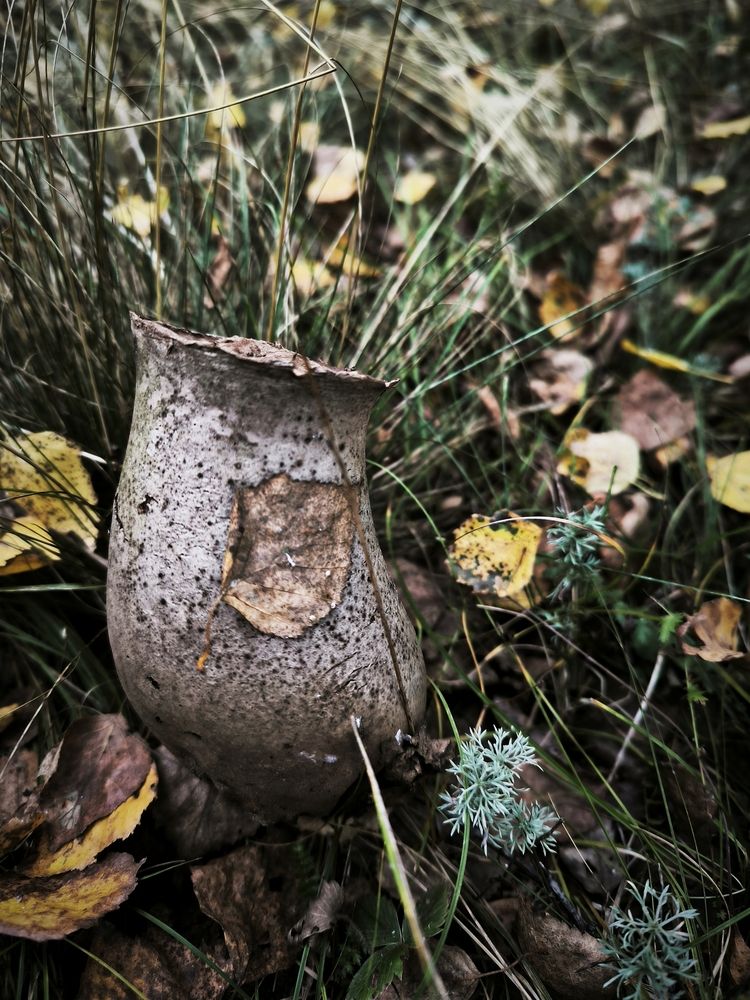 Photograph by Полина
