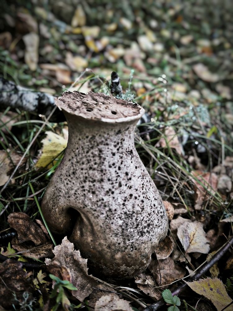 Photograph by Полина