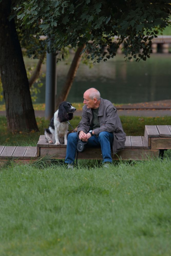 Старые друзья
