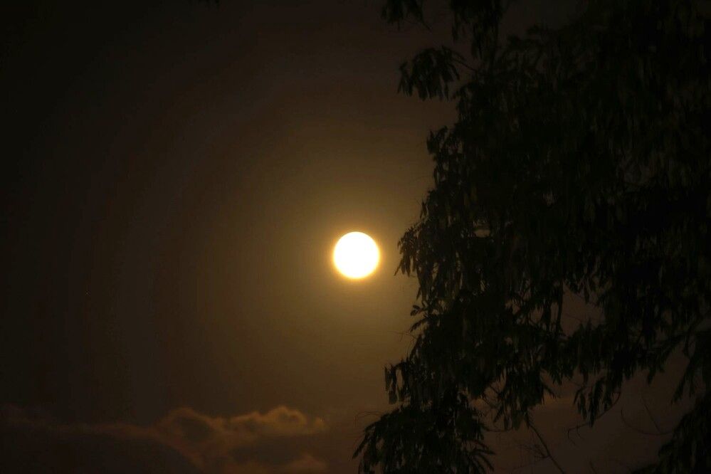 Photograph by Merav Zuberman Perkal