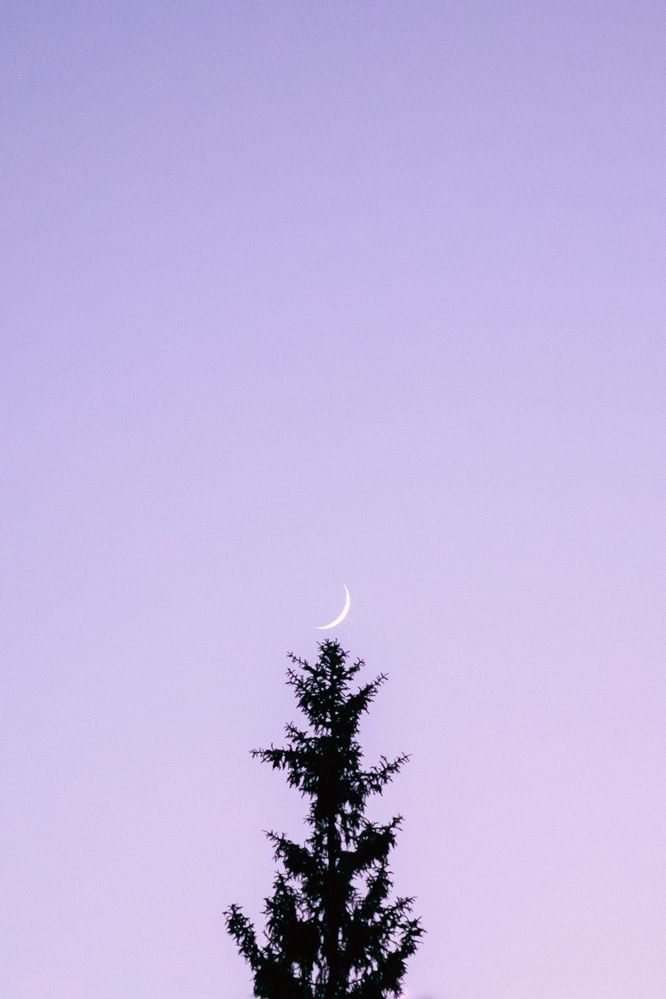 Photograph by Катерина Котт