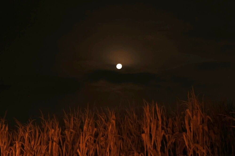 Photograph by Merav Zuberman Perkal