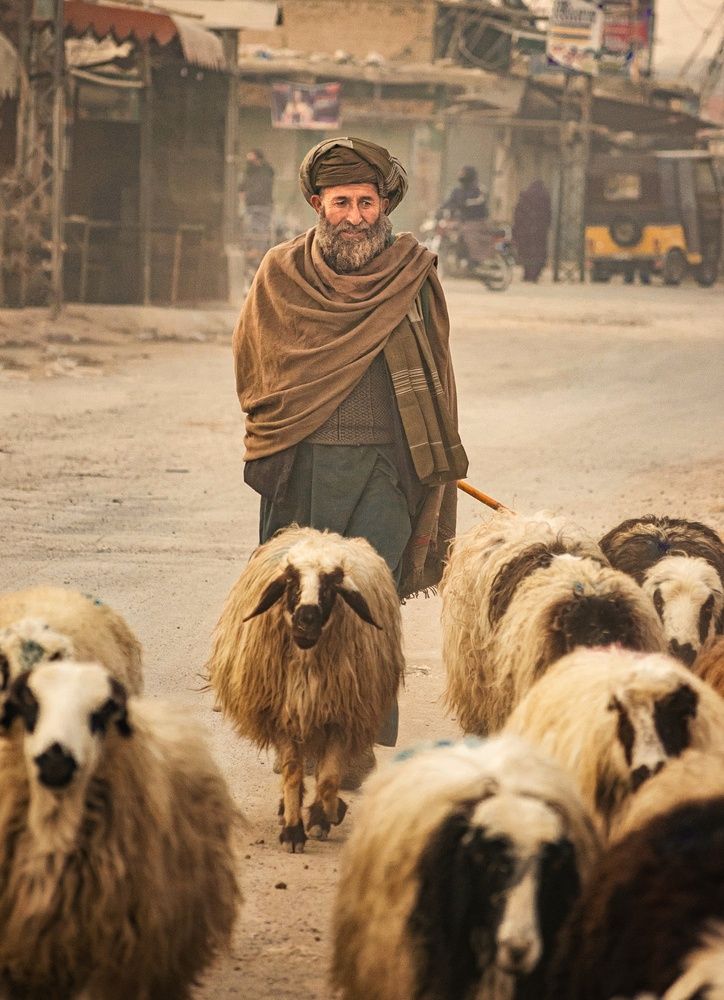 Фотография автора Aftab Amjid