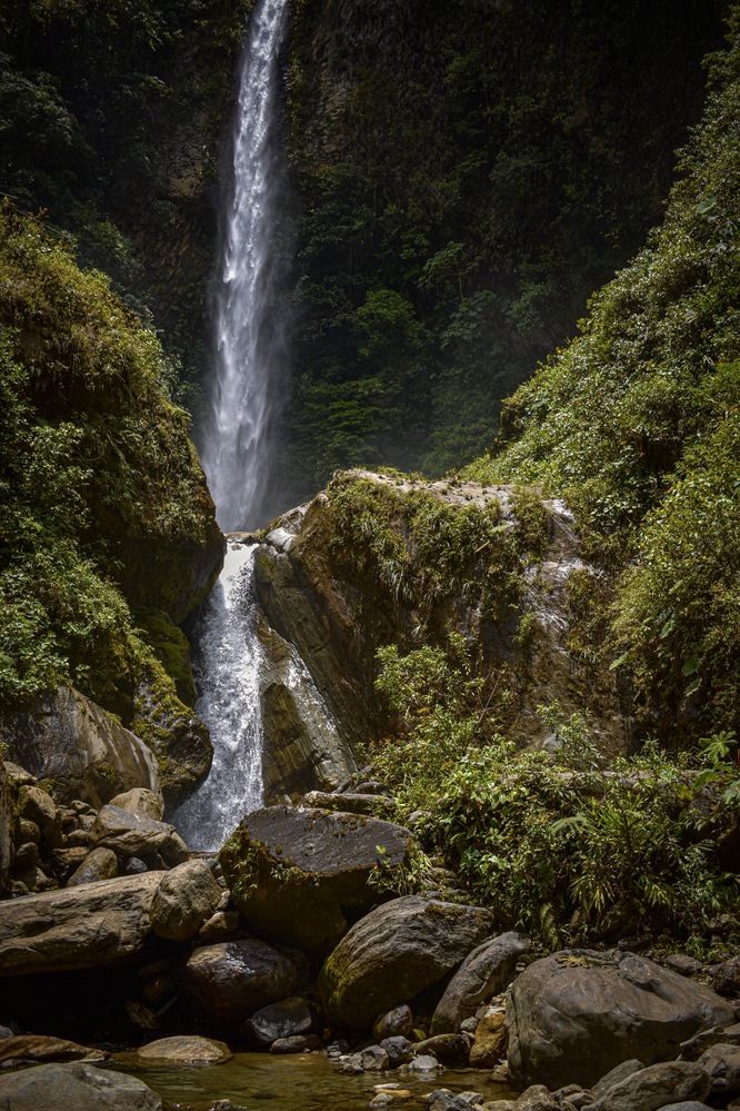 Photograph by Adriana Altamirano