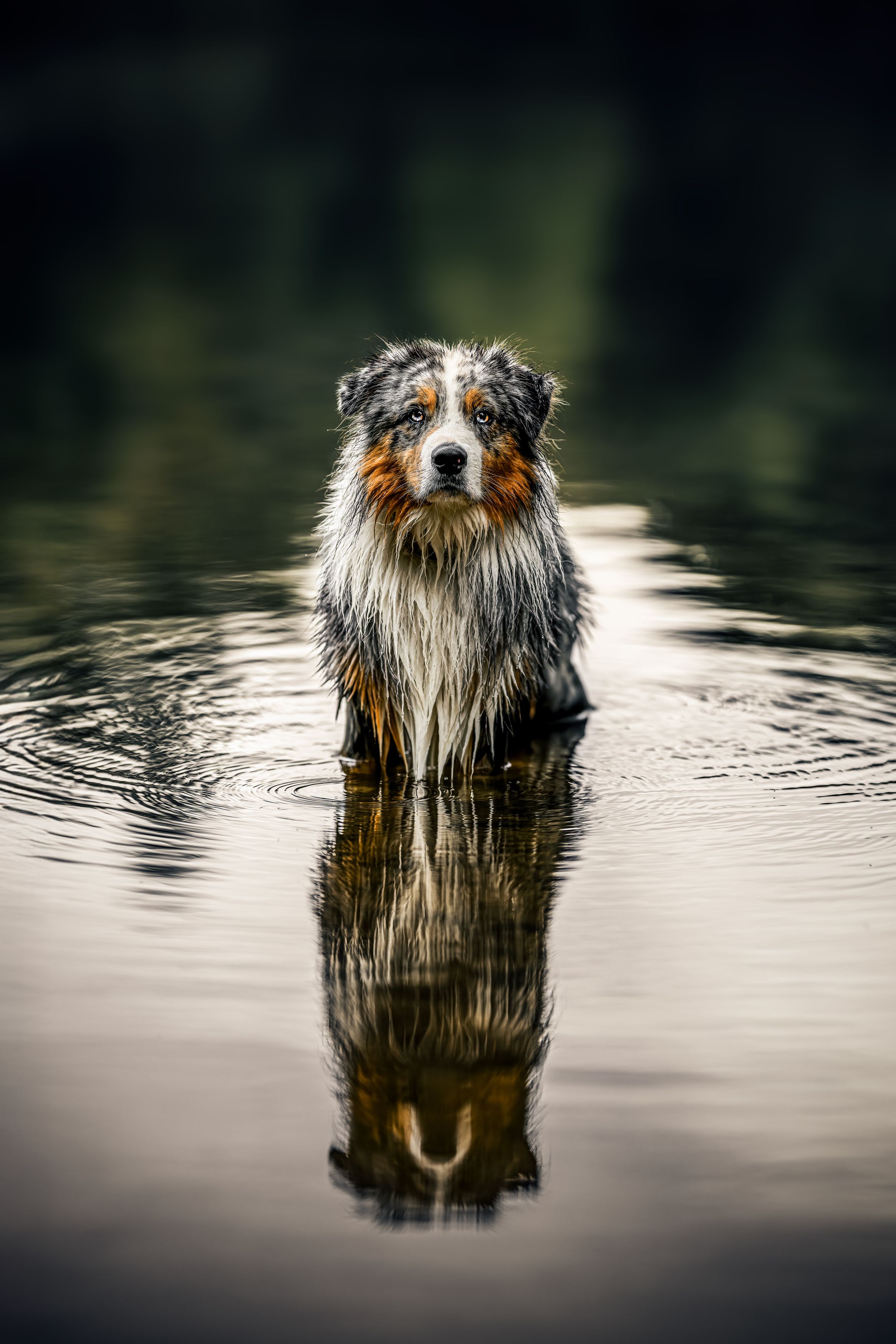 Photograph by Lucie Nermuťová