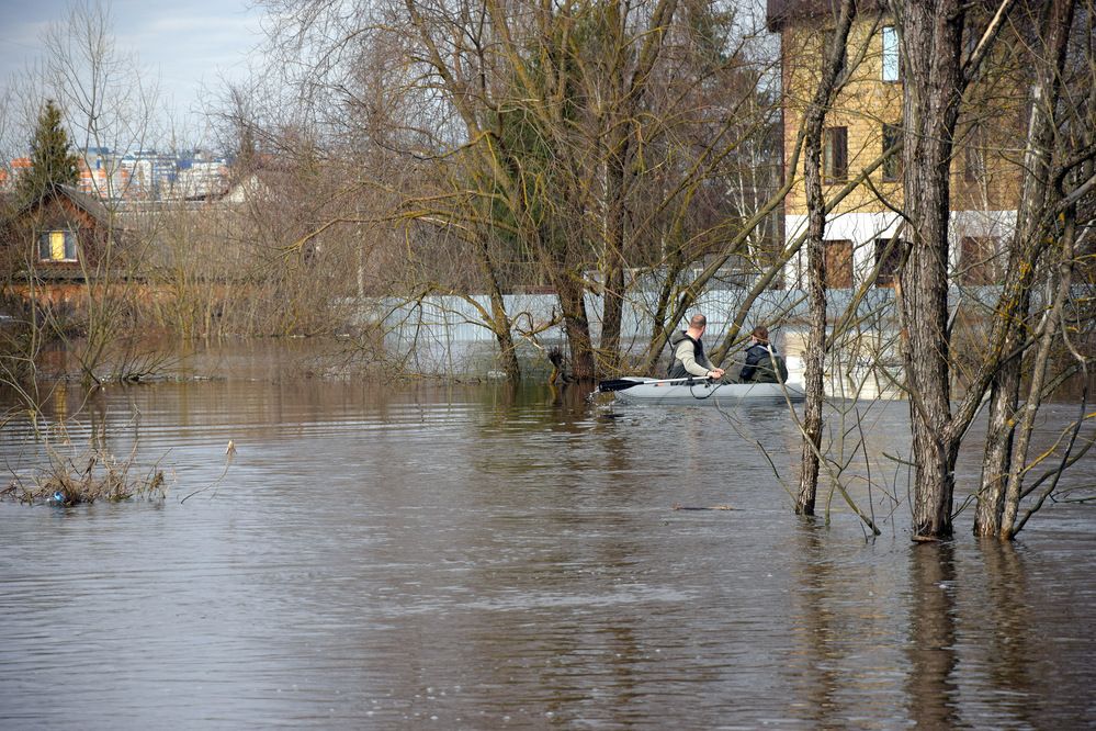 Photograph by Ирина Федичева