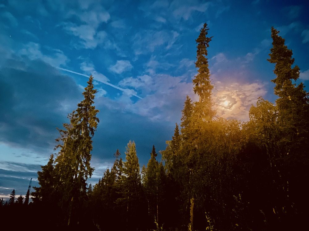 Photograph by Ирина Рыжова